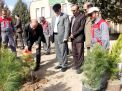 گزارش تصویری از آئیین درختکاری و تقدیر ازهمکاران فضای سبز دانشگاه